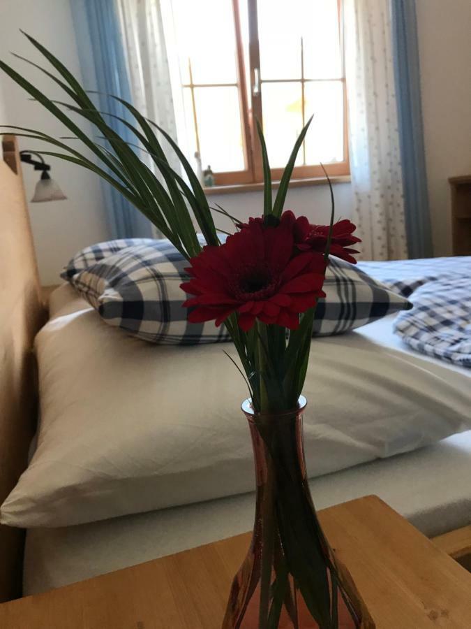 Ferienwohnung Gruber-Hansen Kaltenbach Extérieur photo